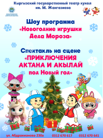 Шоу программа «Новогодние игрушки Деда Мороза»