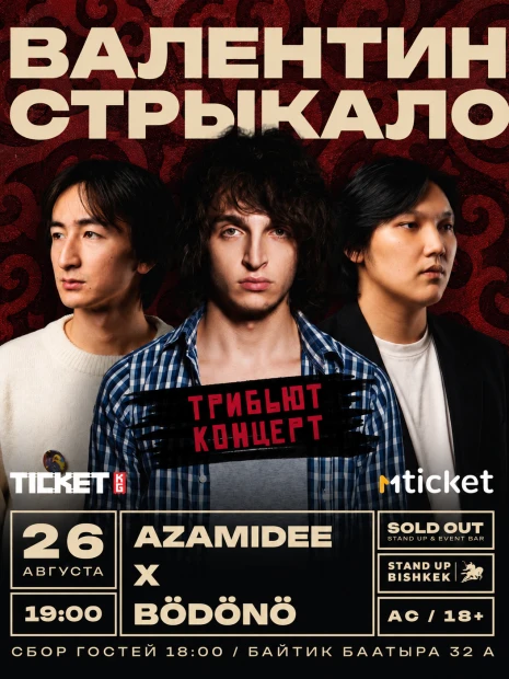 Валентин Стрыкало