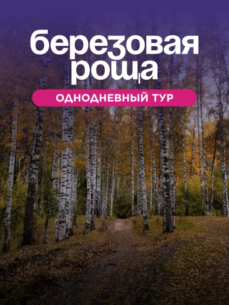 Урочище Бойрок (Березовая роща )
