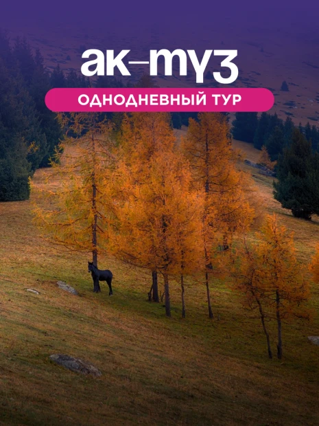 Однодневный тур в ущелье Ак-Түз + 5 локаций